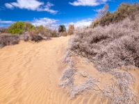 Dunes de Maspalomas